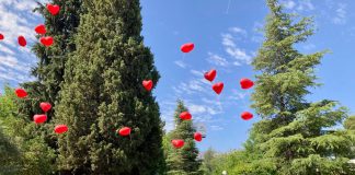 DÍA NACIONAL DONANTE DE ÓRGANOS 2022